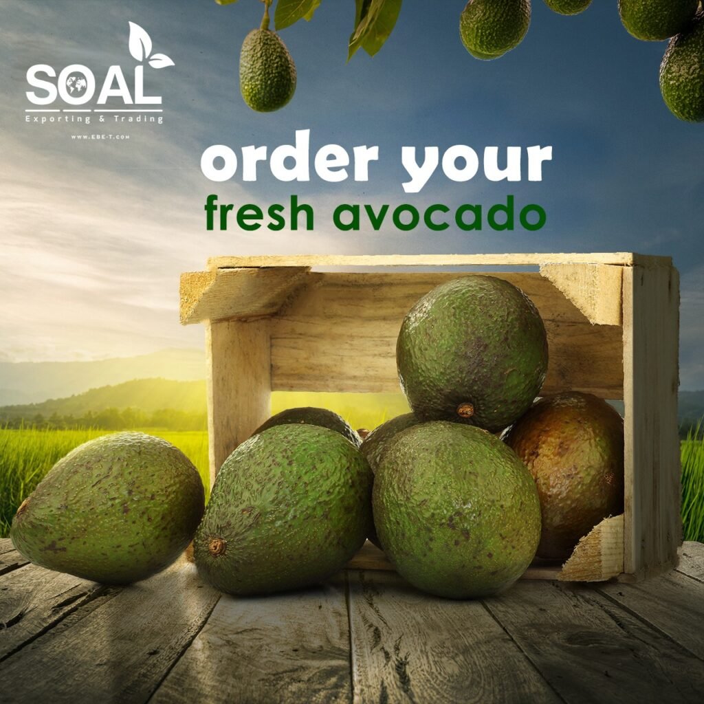 SOAL Farms
